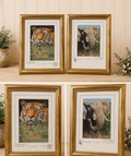 Pair Stephen Gayford Limited Edition Signed Wildlife Prints Tiger & Elephant Framed