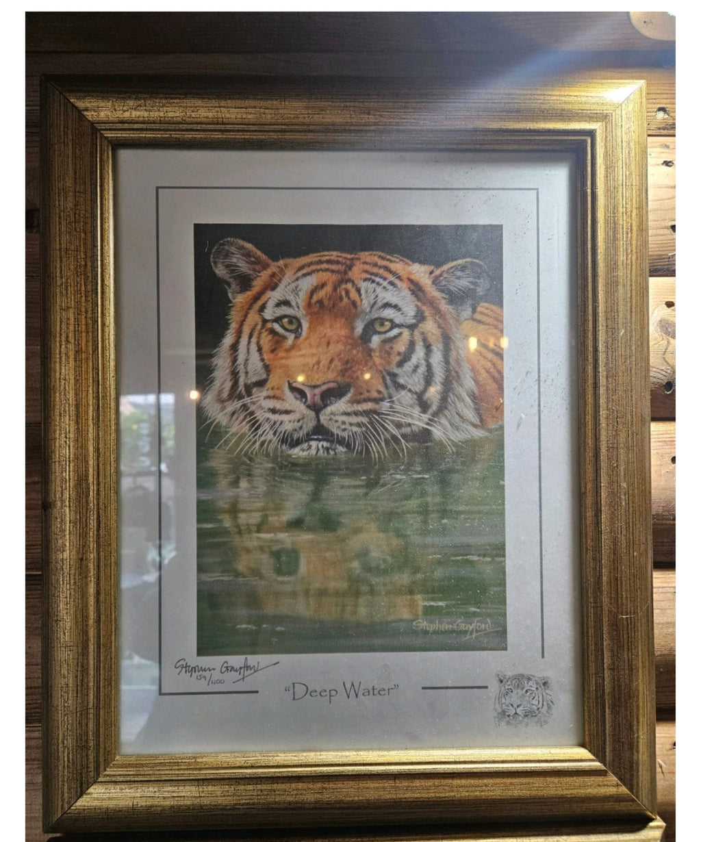Pair Stephen Gayford Limited Edition Signed Wildlife Prints Tiger & Elephant Framed