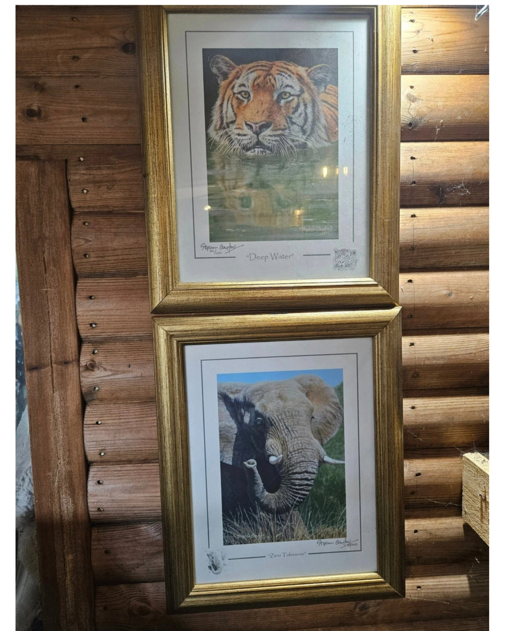 Pair Stephen Gayford Limited Edition Signed Wildlife Prints Tiger & Elephant Framed