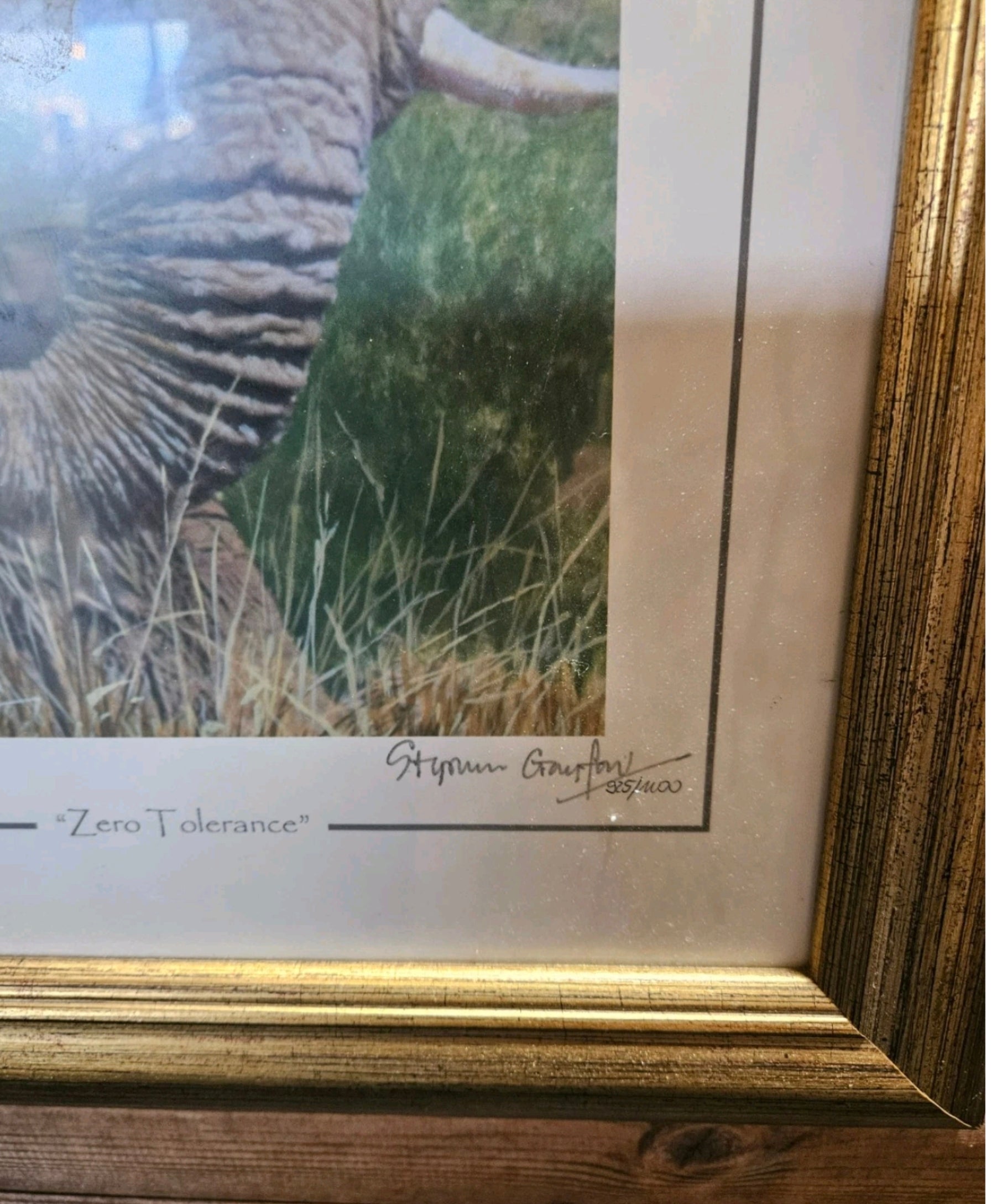 Pair Stephen Gayford Limited Edition Signed Wildlife Prints Tiger & Elephant Framed